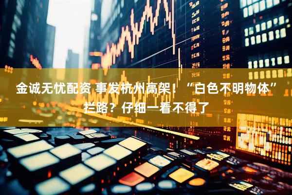 金诚无忧配资 事发杭州高架！“白色不明物体”拦路？仔细一看不得了