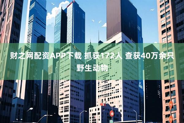 财之网配资APP下载 抓获172人 查获40万余只野生动物