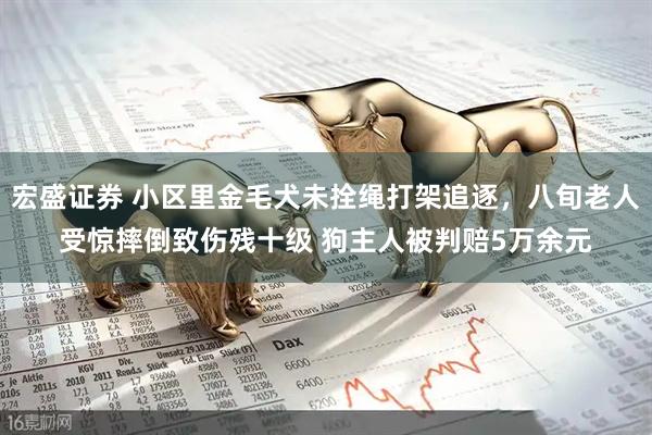 宏盛证券 小区里金毛犬未拴绳打架追逐，八旬老人受惊摔倒致伤残十级 狗主人被判赔5万余元