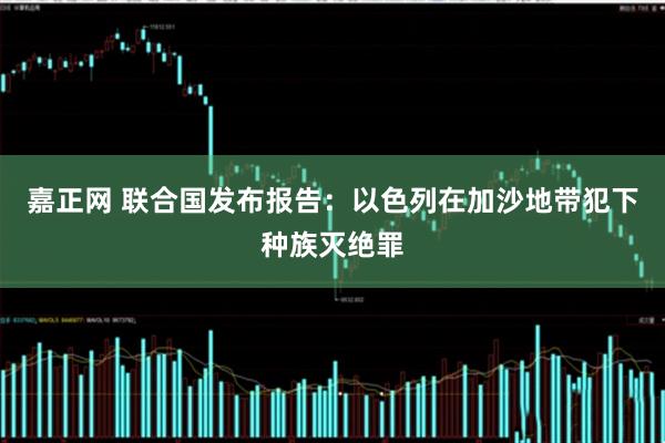 嘉正网 联合国发布报告：以色列在加沙地带犯下种族灭绝罪