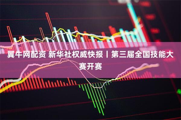 翼牛网配资 新华社权威快报丨第三届全国技能大赛开赛