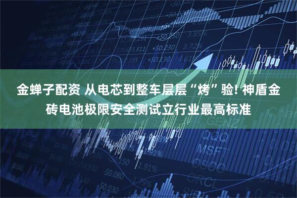 金蝉子配资 从电芯到整车层层“烤”验! 神盾金砖电池极限安全测试立行业最高标准