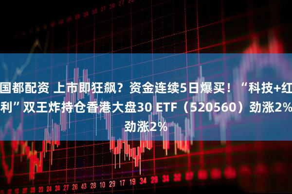 国都配资 上市即狂飙？资金连续5日爆买！“科技+红利”双王炸持仓香港大盘30 ETF（520560）劲涨2%