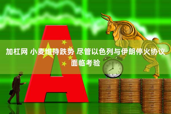 加杠网 小麦维持跌势 尽管以色列与伊朗停火协议面临考验