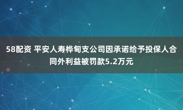 58配资 平安人寿桦甸支公司因承诺给予投保人合同外利益被罚款5.2万元